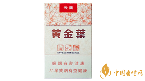 黃金葉天葉真?zhèn)卧趺幢鎰e？天葉真假如何看？