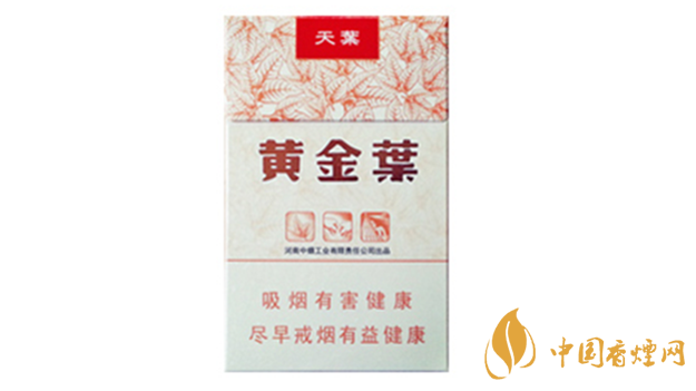 黃金葉天葉真假怎樣區(qū)分？黃金葉天葉真假識(shí)別