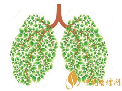 相比癌癥慢阻肺疾病離吸煙者更近！