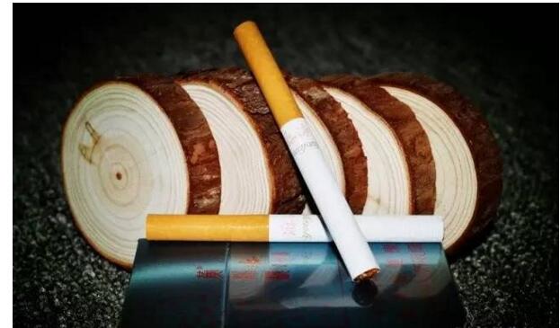 黃鶴樓游泳回歸，爺爺輩最喜愛的香煙品牌