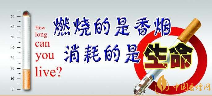 為什么中國控?zé)熾y，中國煙草行業(yè)8項世界第一