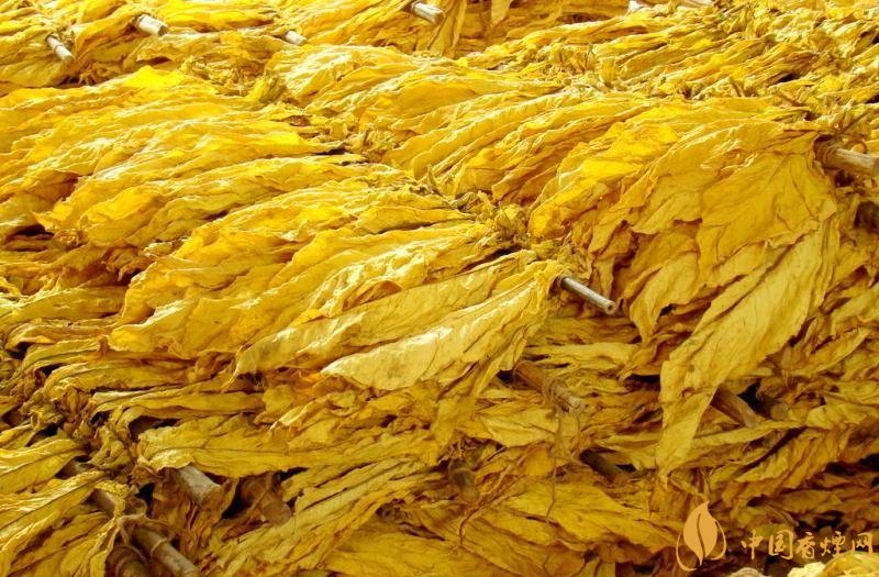 有機(jī)煙葉是什么，有機(jī)煙葉和普通煙葉的區(qū)別